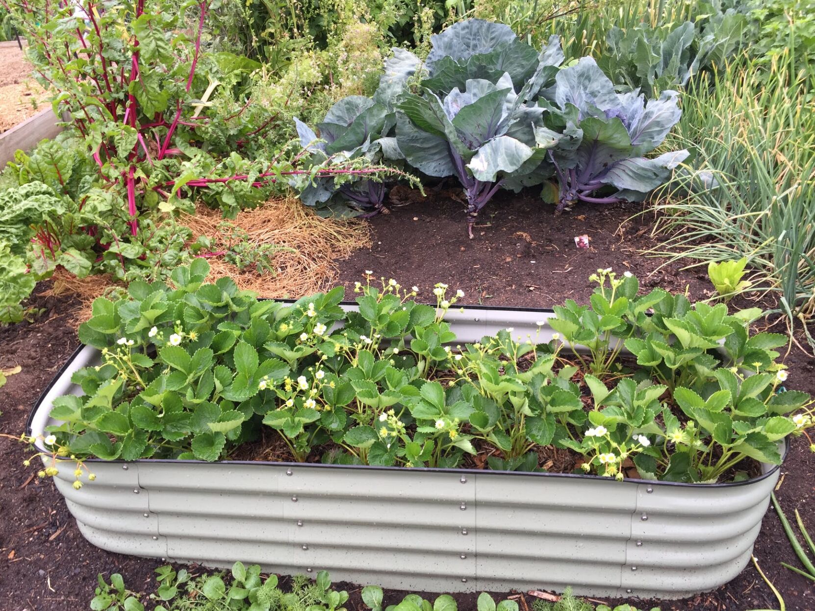 compost and garden file photo